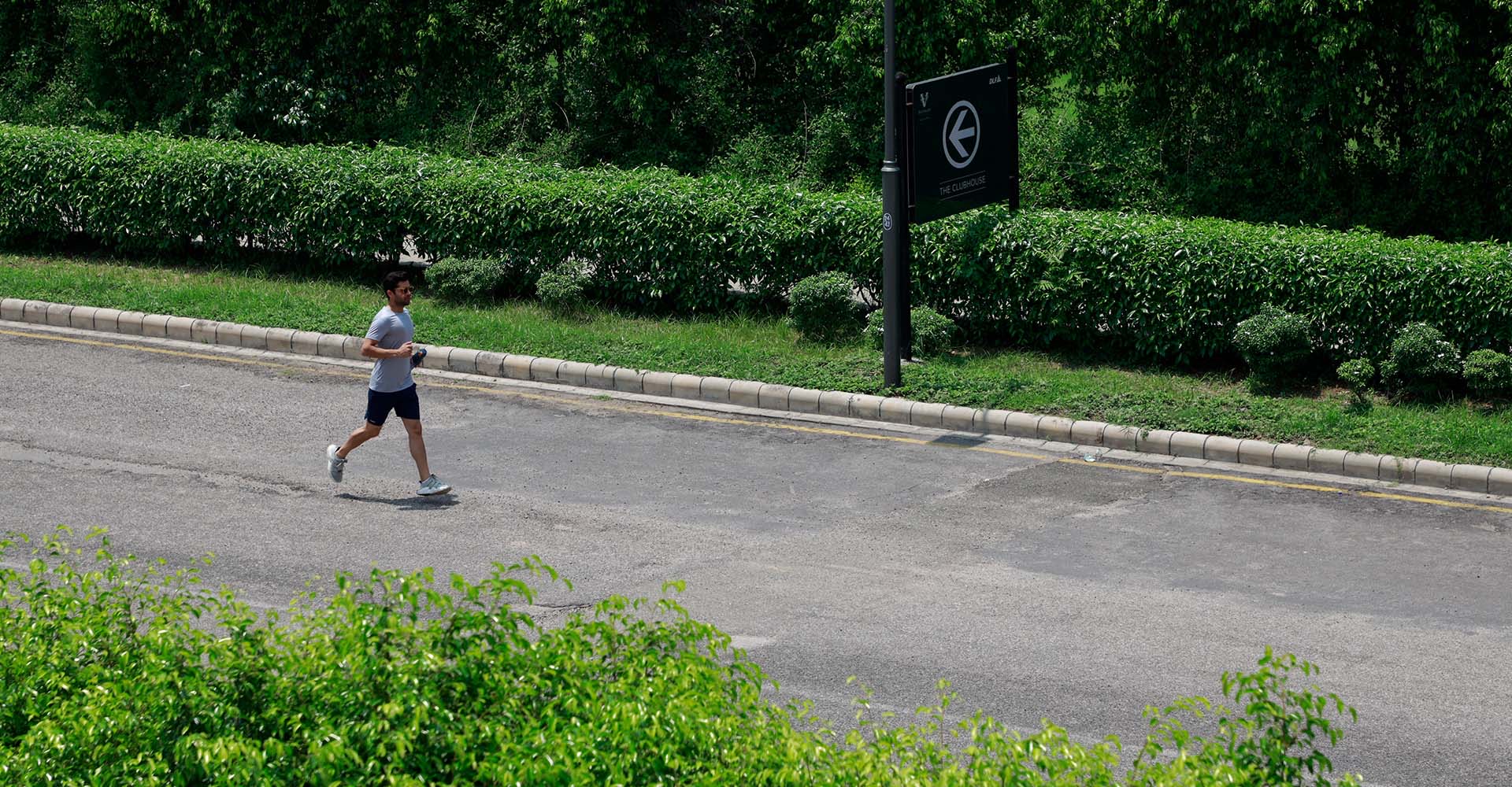 Jogging track bordered by hedges