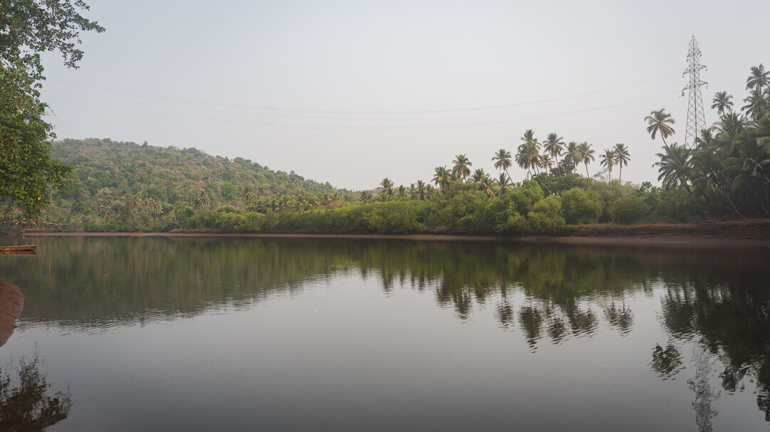 Still river and palm-lined banks near Pernem