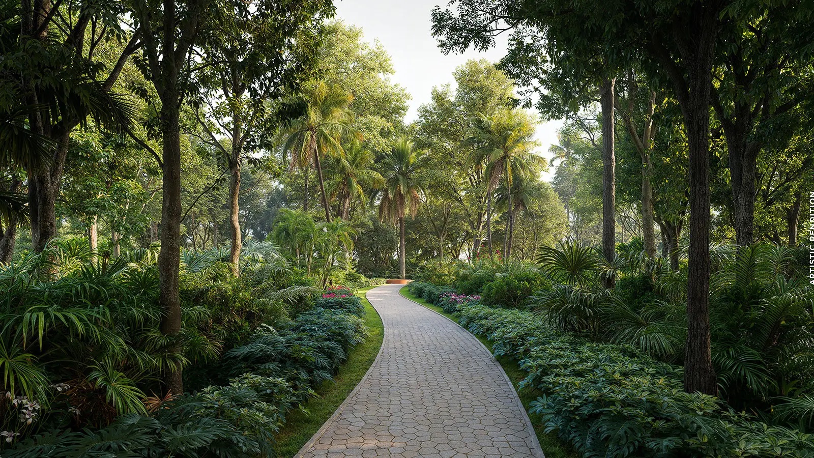 Shaded forest walk with dense native planting