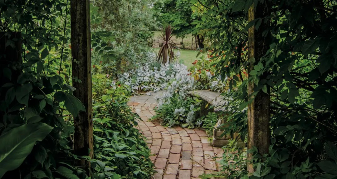 Brick path through dense tropical garden in Sircaim